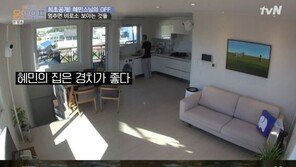 ‘풀소유’ 논란 혜민, 이번엔 뉴욕 ‘리버뷰’ 아파트 매입 의혹