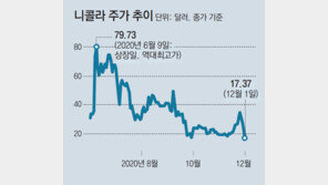 니콜라에 울고 나녹스에 웃고… 희비 갈린 서학개미들