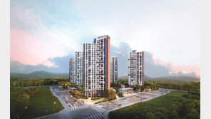 아파트부터 오피스텔-임대주택까지… 올해 마지막 ‘로또 단지’ 잡아라