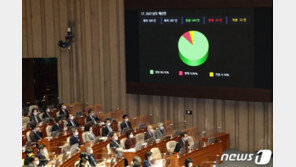 ‘조두순 방지법’ 등 민생법안·세법 개정안 110여건 국회 통과