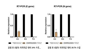 “美 국립보건원이 주목하는 구충제”… 대웅제약, ‘햄스터’ 시험서 빠르고 강력한 코로나19 치료 효과 입증