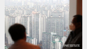 “3040세대 주택 공황구매, ‘영끌’ 아닌 ‘능력’”