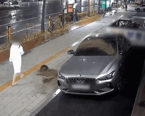 영상 봤나? ‘제네시스 화분 투척’ 여성, 경찰에 자진출석 [영상]