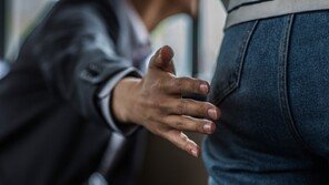 “친해지려고…” 예비 며느리 엉덩이 만진 男 법정 구속
