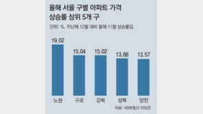 ‘패닉바잉’ 여파… 강북 집값 상승률, 강남 넘어서
