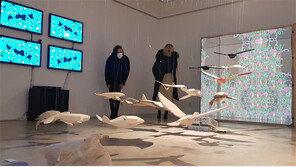 전시물이 움직이네∼