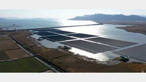 고흥에 국내 최대 수상태양광발전소 완공