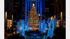 록펠러센터 앞 트리 점등… “관람은 5분씩만”