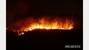 고흥 거금도 산불 진화…1명 사망·임야 2㏊소실