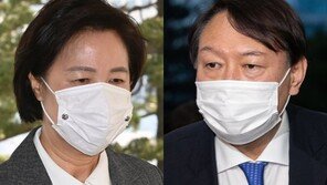 헌재로 전선 확대…秋는 “尹복귀 인정못해” 즉시항고