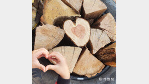 하트가 방긋[고양이 눈]