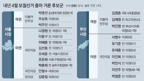 눈치 보기…‘대형 후보’ 부족…서울시장 레이스 누가 뛰나