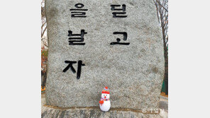 나도 눈사람[고양이 눈]