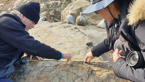 ‘이족보행 악어’ 첫 제기 美학자 “한국서 표창까지 받아 감동”