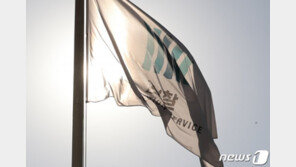 ‘역수사’ 받는 한동수 대검 감찰부장…“내부 공격에 살의 느껴”