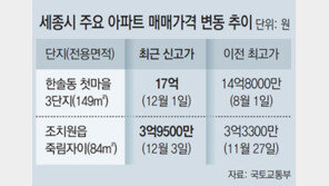 연일 뛰는 세종 집값… 149㎡ 17억에 팔려