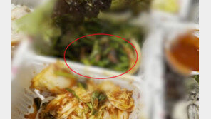 족발 쥐, 환풍기서 반찬통으로 ‘툭’…업체 대표 첫 사과