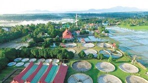 장어 양식장 3000만원 투자로 월 90만원 수익