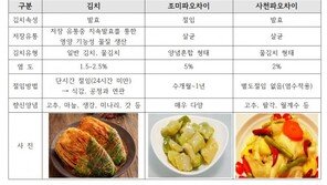 김치가 삼국시대 중국서 전래?…中 관영매체, 또 한중갈등 불붙여