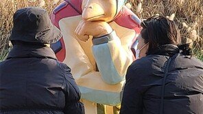 이야기꽃[고양이 눈]