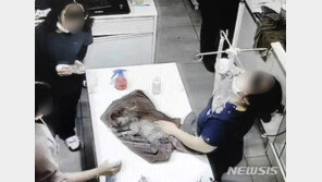 수술한 강아지에 탈취제 뿌린 동물병원, 경찰이 나섰다