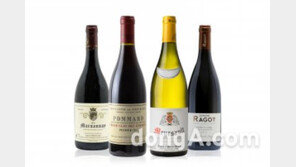 “부르고뉴 와인을 좋아하면 가산을 탕진한다”… 하이트진로, 프랑스 부르고뉴 와인 11종 출시