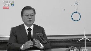 친환경 넥타이에 흑백 화면…文대통령, 탄소중립 비전 선언