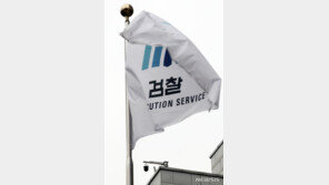 檢내부 “짜인 각본대로 진행돼”