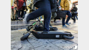 헬멧없이 횡단보도 킥보드…단속 첫날 범칙금 대상 ‘씽씽’
