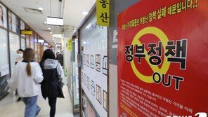 서울 아파트값, 文 ‘원상회복’ 약속 후 18% 더 올랐다