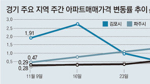전국 아파트값 역대 최고폭 상승… 일산 12년 미분양 단지도 ‘완판’