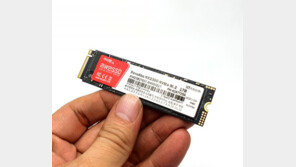 [리뷰] 착한 성능 착한 가격, 리뷰안 NX2300 NVMe M.2 SSD