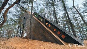 “BTS-블랙핑크, 도와줘요… 기후위기가 코로나처럼 지구를 덮치지 않게”