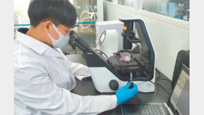 ‘우량 세포’ 골라 실험실서 만든 한우…두툼한 스테이크로 구우면 맛은?