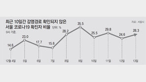 서울 399명 연일 최다… 3명중 1명 감염경로 불분명