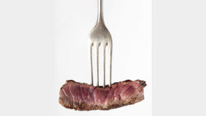 실험실에서 만든 최고급 한우… 식탁에서 언제 맛볼수 있을까