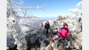 제주 해안 첫눈 관측…한라산 대설주의보 30㎝ 적설 예상