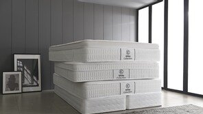 잉글랜더, 초고밀도·구리 메모리폼 메트리스 선 봬