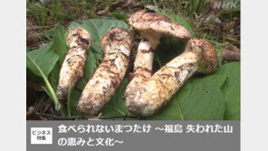 日대지진 9년 지났는데 아직도… 버섯서 방사성 세슘 검출