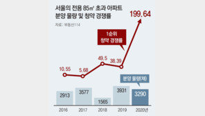 중대형의 부활… 서울 청약경쟁률 200대 1, 작년의 5배
