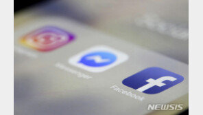 프랑스의 ‘허위정보 유포 작전’, 페이스북에 딱 걸렸다