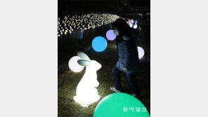 토끼야 토끼야[고양이 눈]