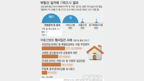 부동산 의심거래 ‘수두룩’…국토부, 수도권서 190건 적발