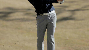 KPGA 톱10 선수의 7자평…김태훈 ‘제네시스의남자’