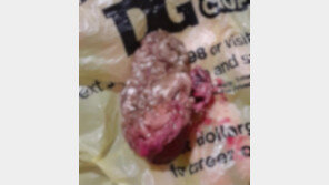 “이거 사람 뇌 아니야?” 아이 장난감 열었더니…‘화들짝’