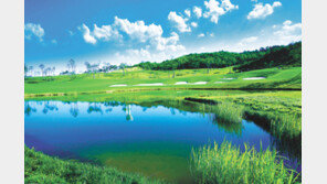 제주 골프장 12곳 이용 ‘무기명 회원권’ 분양