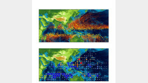 IBS “지구온난화가 강력한 태풍 50% 가량 증가시킬 것”