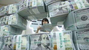 美, 4년째 한국 환율 관찰대상국 분류…“무역·경상흑자 초과”