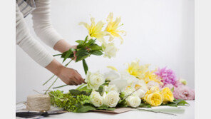 “코로나블루? 예쁜 꽃으로 생활공간 꾸미면 몸·마음 활짝”