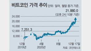 비트코인 가격 2만달러도 넘었다…1년새 3배↑ 연일 신고가 행진